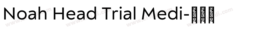 Noah Head Trial Medi字体转换